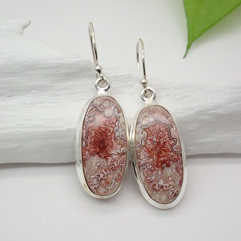 Sterling Silver Crazy Lace Agate Earrings