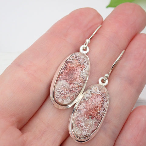 Sterling Silver Crazy Lace Agate Earrings