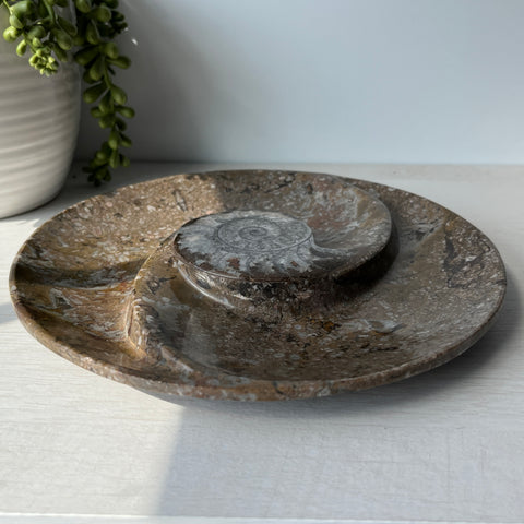 Orthoceras & Goniatite Ammonite Fossil Bowl on Metal Stand