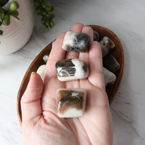 apatite pocket stone worry stone crystal
