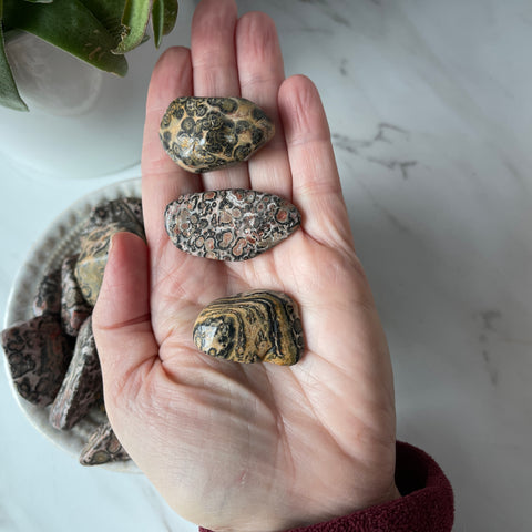 Leopardskin Jasper Tumbled Stone