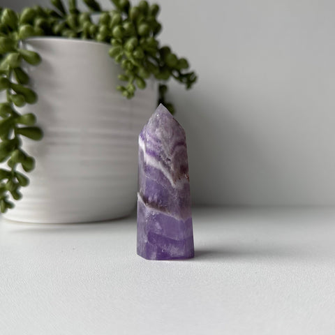 Chevron Amethyst Point