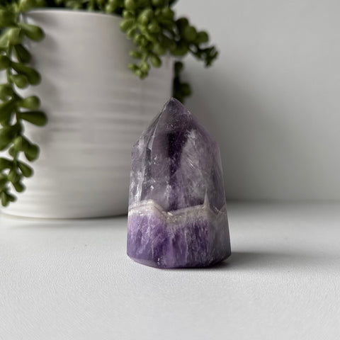Chevron Amethyst Point