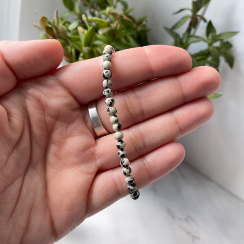 Dalmatian Jasper Gemstone Energy Bracelet