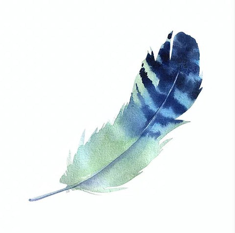 watercolor feather waterproof vinyl sticker cabana