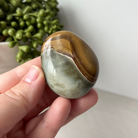 Polychrome Jasper Large Tumble