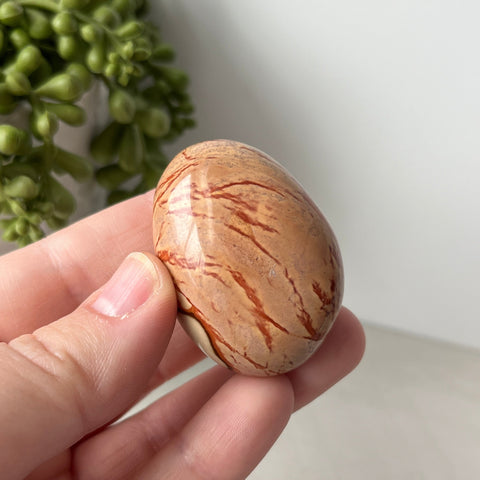 Polychrome Jasper Large Tumble