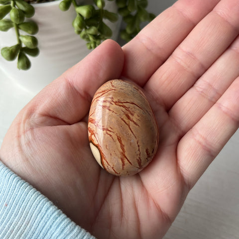 Polychrome Jasper Large Tumble