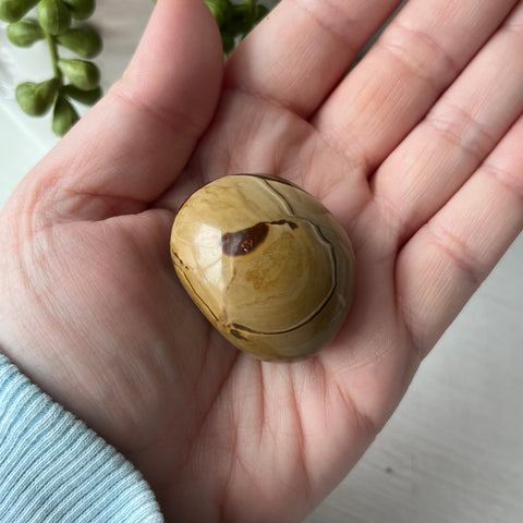 Polychrome Jasper Large Tumble