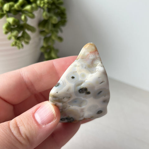 Large Ocean Jasper Tumble