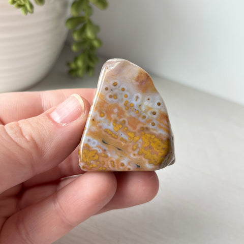 Large Ocean Jasper Tumble