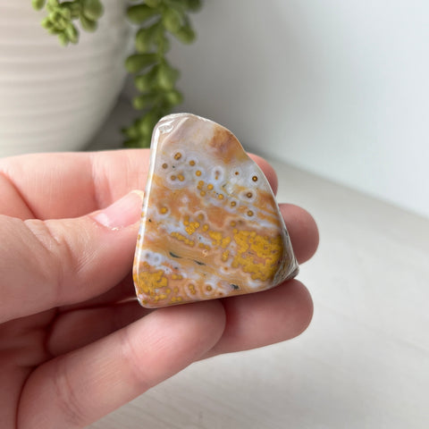 Large Ocean Jasper Tumble