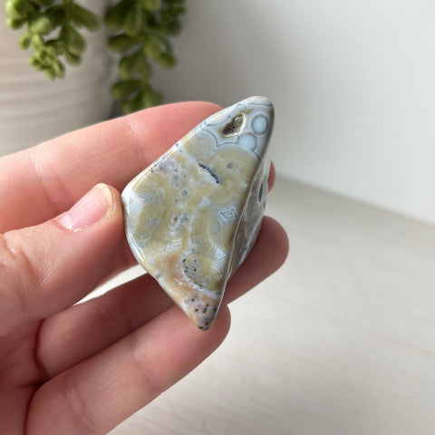 Large Ocean Jasper Tumble