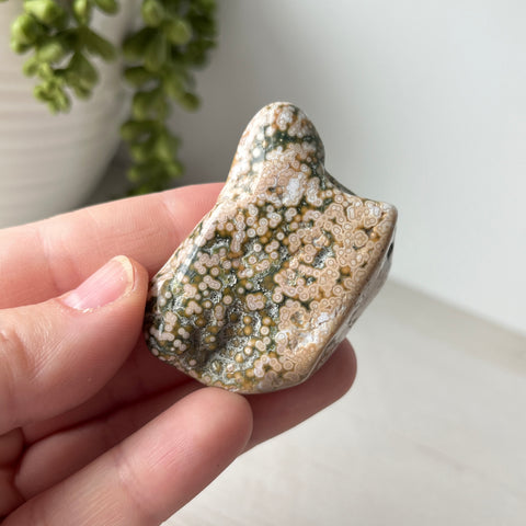 Large Ocean Jasper Tumble