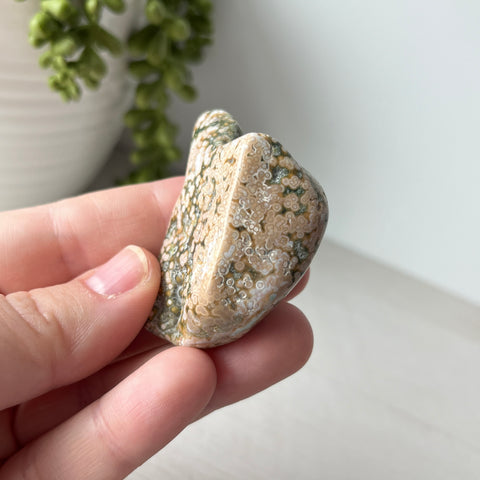 Large Ocean Jasper Tumble