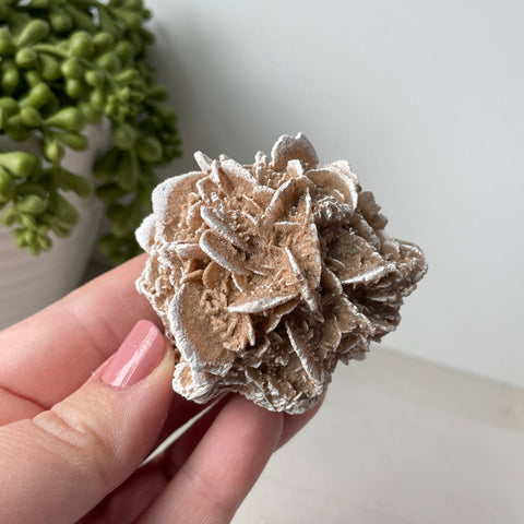 Desert Rose Selenite Raw Cluster - Choose Your Own