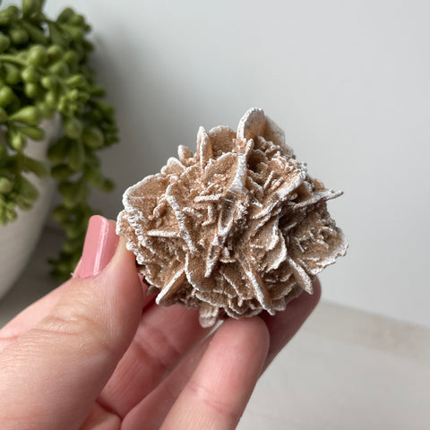 Desert Rose Selenite Raw Cluster - Choose Your Own