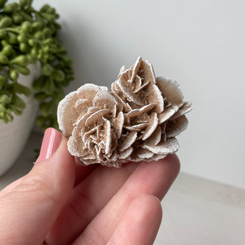 Desert Rose Selenite Raw Cluster - Choose Your Own