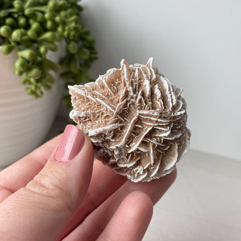 Desert Rose Selenite Raw Cluster - Choose Your Own