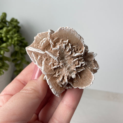 Desert Rose Selenite Raw Cluster - Choose Your Own