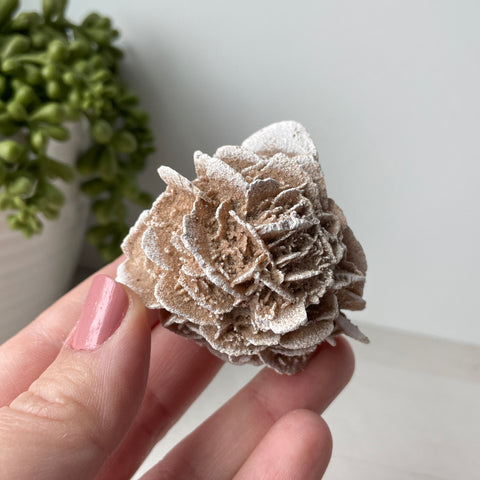 Desert Rose Selenite Raw Cluster - Choose Your Own