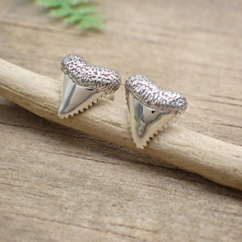 ♻️ Recycled Sterling Silver Shark Tooth Stud Earrings