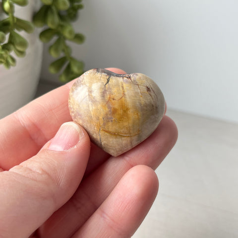 Petrified Wood Puffy Heart