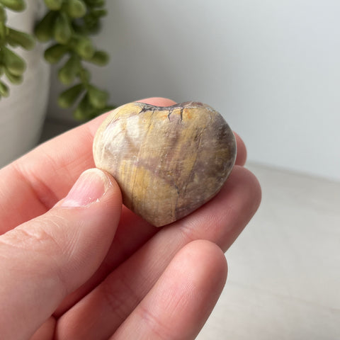 Petrified Wood Puffy Heart