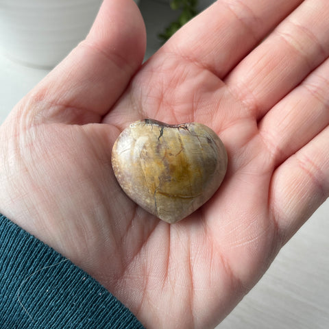 Coeur gonflé en bois pétrifié