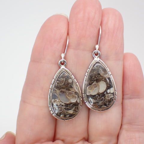 Turitella Sterling Silver Earrings