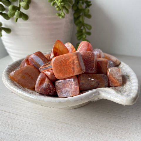 Snakeskin Agate Tumble