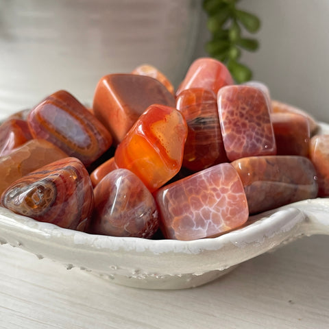 Snakeskin Agate Tumble
