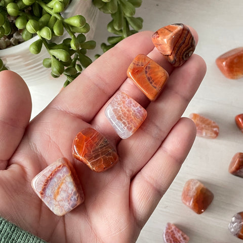 Snakeskin Agate Tumble