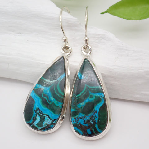 Azurite-Malachite Sterling Silver Earrings