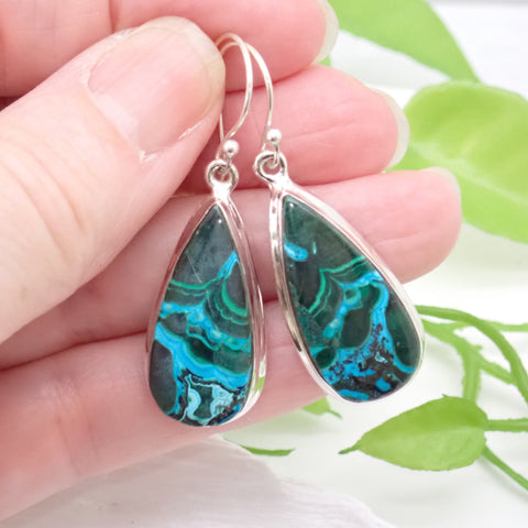 Azurite-Malachite Sterling Silver Earrings