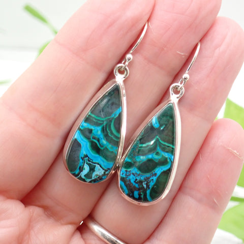 Azurite-Malachite Sterling Silver Earrings