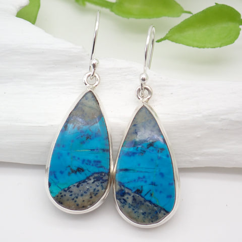 Chrysocolla Sterling Silver Earrings