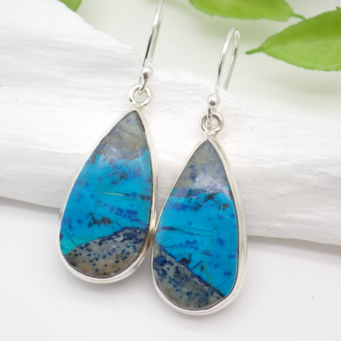 Chrysocolla Sterling Silver Earrings