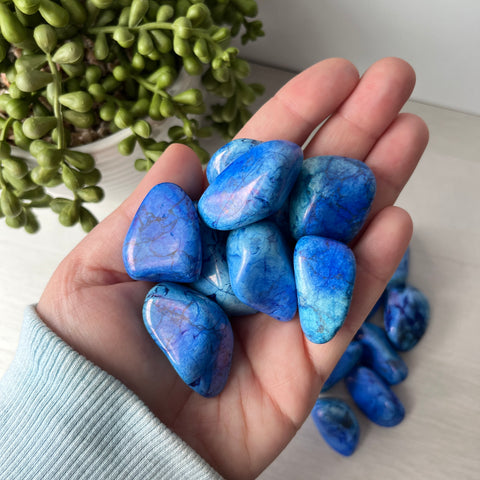 Dyed Blue Howlite Tumbles