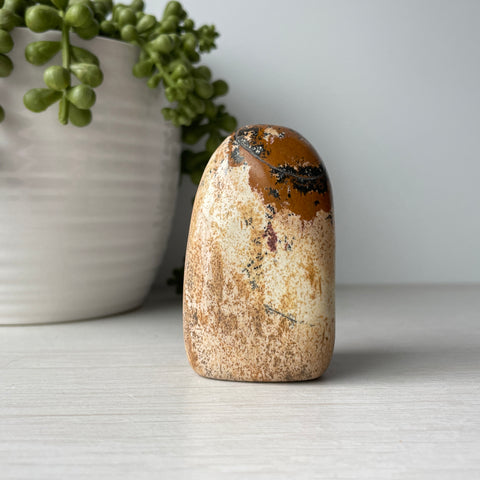 Mini Picture Jasper Free Form