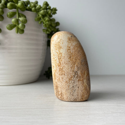 Mini Picture Jasper Free Form