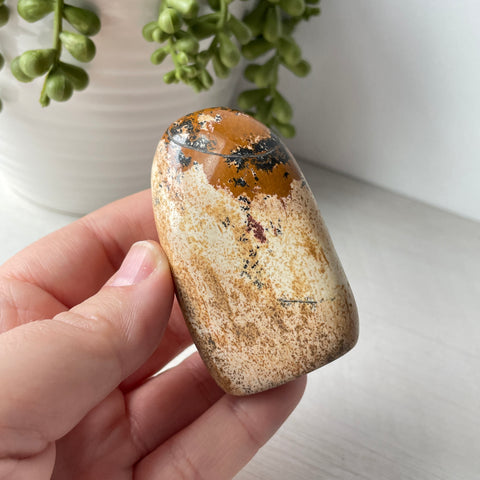 Mini Picture Jasper Free Form