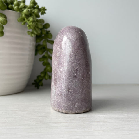 Mini Lepidolite Free Form