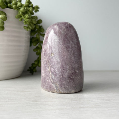 Mini Lepidolite Free Form