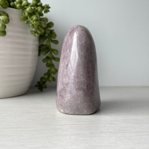 Mini Lepidolite Free Form