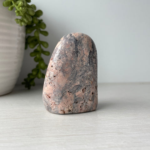 Mini Porcelain Jasper Free Form