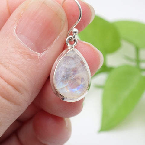 Rainbow Moonstone Faceted Sterling Silver Earrings