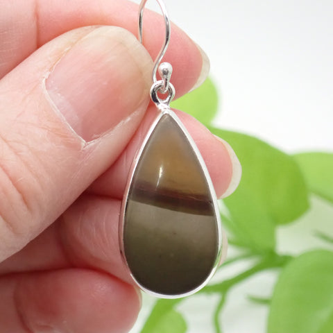 Picture Jasper Sterling Silver Earrings