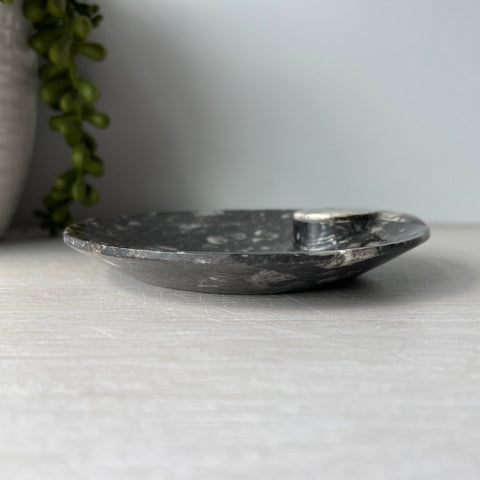 Orthoceras & Goniatite Ammonite Fossil Bowl