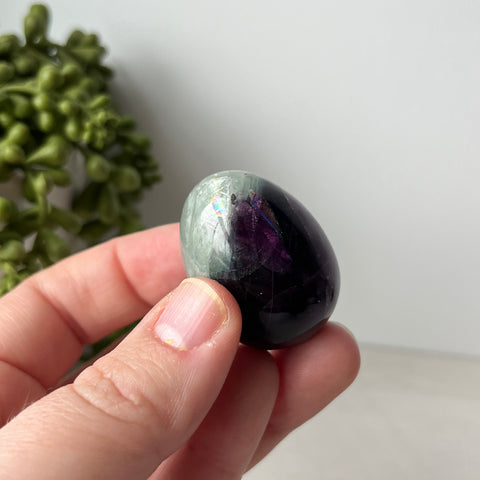 Rainbow Fluorite Egg